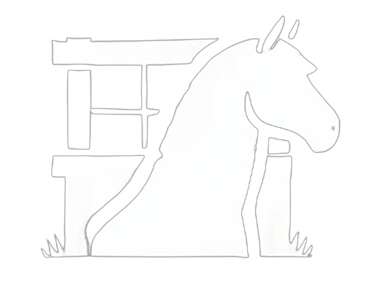 A graphic of a rider jumping on a horse with a palm tree in the distance.